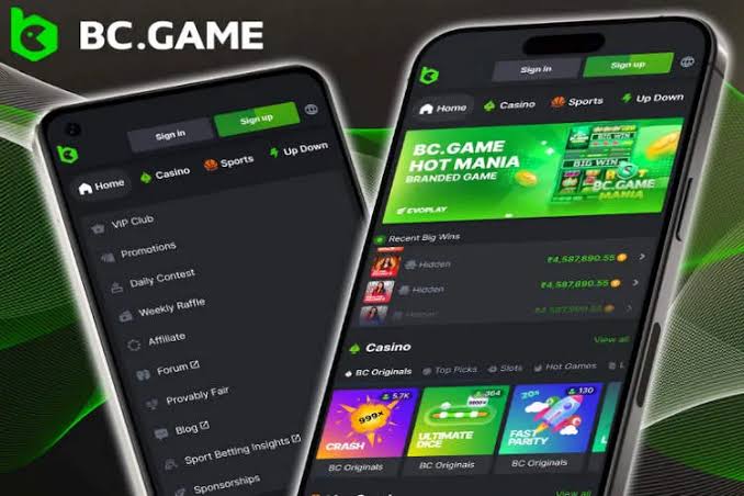 How to Place a Bet on BC A Complete Guide